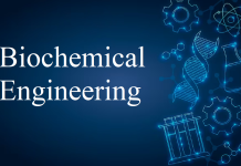 Biochemical Engineering Specializations: Finding a Niche for Your Career Biochemical Engineering