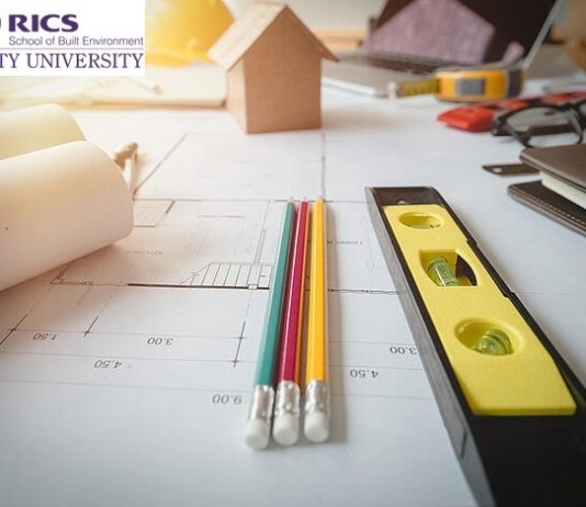 Is Project Management a Pathway Guide for Professional? project management in construction