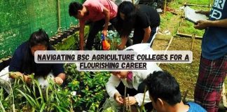 Navigating BSc Agriculture Colleges for a Flourishing Career agriculture colleges in andhra pradesh