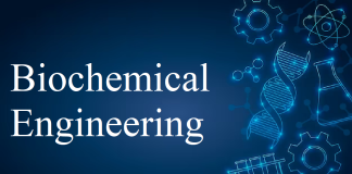 Biochemical Engineering Specializations: Finding a Niche for Your Career Biochemical Engineering