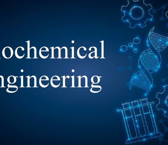 Biochemical Engineering Specializations: Finding a Niche for Your Career Biochemical Engineering